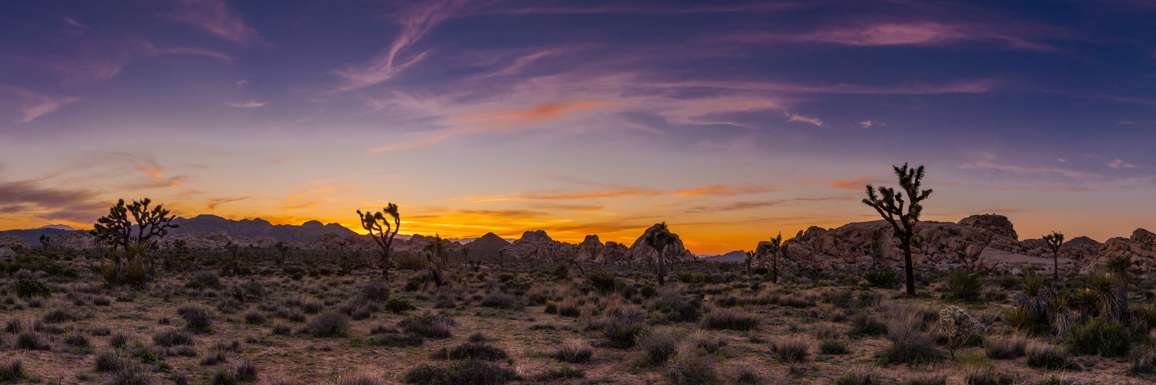 Desert
