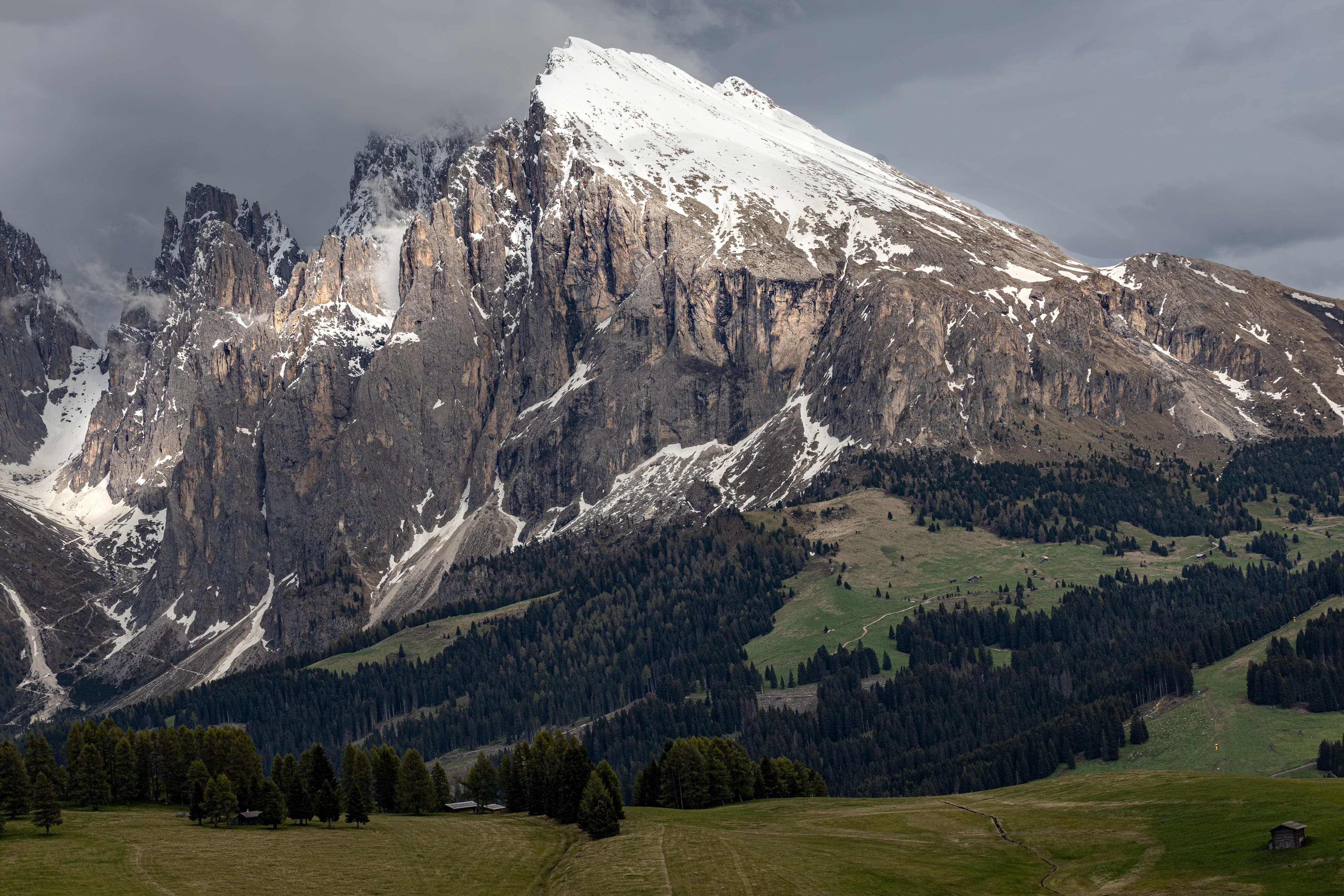 alpine